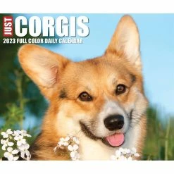 Promo 😍 2023 Corgis Box Calendar by Willow Creek Press 💯 -Cheap Willow Creek Press Store D669838S 5