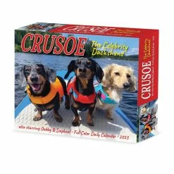 New 💯 2023 Crusoe the Celebrity Dachshund Box Calendar by Willow Creek Press 🧨
