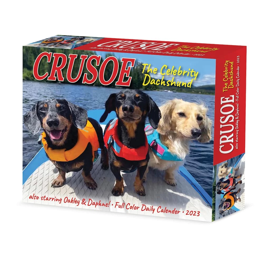 New ๐ฏ 2023 Crusoe the Celebrity Dachshund Box Calendar by Willow Creek Press ๐งจ 1 New ๐ฏ 2023 Crusoe the Celebrity Dachshund Box Calendar by Willow Creek Press ๐งจ