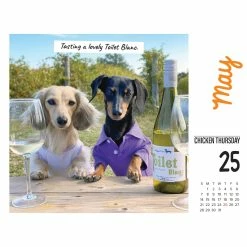 New ๐ฏ 2023 Crusoe the Celebrity Dachshund Box Calendar by Willow Creek Press ๐งจ 9 New ๐ฏ 2023 Crusoe the Celebrity Dachshund Box Calendar by Willow Creek Press ๐งจ -Cheap Willow Creek Press Store D669839S 3