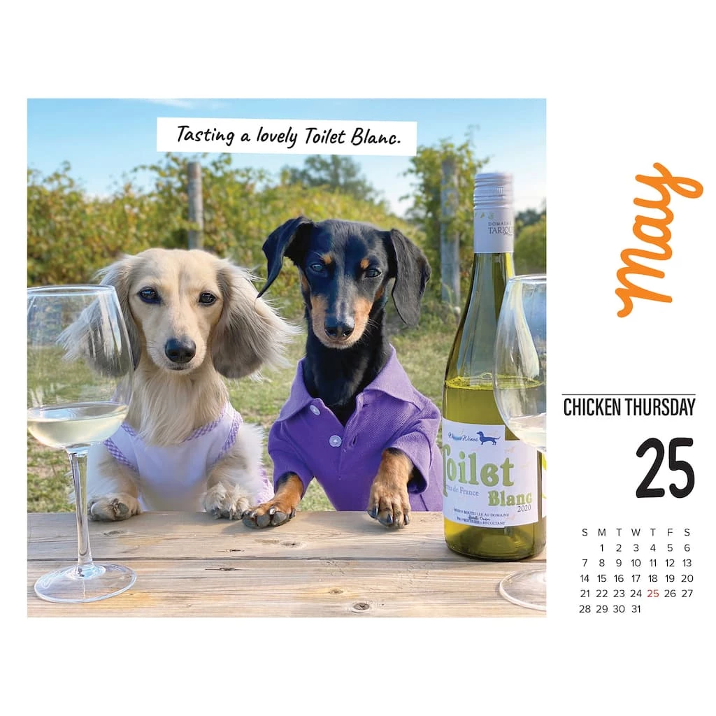 New ๐ฏ 2023 Crusoe the Celebrity Dachshund Box Calendar by Willow Creek Press ๐งจ 3 New ๐ฏ 2023 Crusoe the Celebrity Dachshund Box Calendar by Willow Creek Press ๐งจ - Image 3