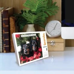 New ๐ฏ 2023 Crusoe the Celebrity Dachshund Box Calendar by Willow Creek Press ๐งจ 10 New ๐ฏ 2023 Crusoe the Celebrity Dachshund Box Calendar by Willow Creek Press ๐งจ -Cheap Willow Creek Press Store D669839S 4