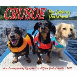 New ๐ฏ 2023 Crusoe the Celebrity Dachshund Box Calendar by Willow Creek Press ๐งจ 11 New ๐ฏ 2023 Crusoe the Celebrity Dachshund Box Calendar by Willow Creek Press ๐งจ -Cheap Willow Creek Press Store D669839S 5