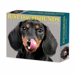 Cheapest 🎉 2023 Dachshunds Box Calendar by Willow Creek Press 💯