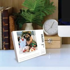 Top 10 ๐ 2023 Doug the Pug Box Calendar by Willow Creek Press ๐ 10 Top 10 ๐ 2023 Doug the Pug Box Calendar by Willow Creek Press ๐ -Cheap Willow Creek Press Store D669843S 4