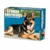 Deals 👍 2023 German Shepherds Box Calendar by Willow Creek Press 🌟