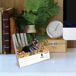 Deals 👍 2023 German Shepherds Box Calendar by Willow Creek Press 🌟 -Cheap Willow Creek Press Store D669845S 4