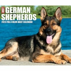 Deals 👍 2023 German Shepherds Box Calendar by Willow Creek Press 🌟 -Cheap Willow Creek Press Store D669845S 5