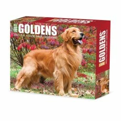 Cheap 😉 2023 Goldens Box Calendar by Willow Creek Press 🧨