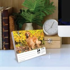 Cheap 😉 2023 Goldens Box Calendar by Willow Creek Press 🧨 -Cheap Willow Creek Press Store D669846S 4