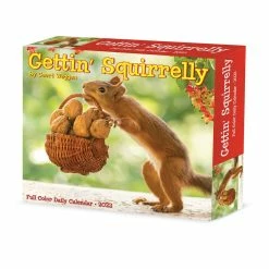Best deal 😍 2023 Gettin' Squirrelly Box Calendar by Willow Creek Press 🎉