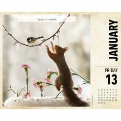 Best deal 😍 2023 Gettin' Squirrelly Box Calendar by Willow Creek Press 🎉 -Cheap Willow Creek Press Store D669847S 3