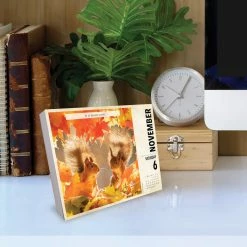 Best deal 😍 2023 Gettin' Squirrelly Box Calendar by Willow Creek Press 🎉 -Cheap Willow Creek Press Store D669847S 4