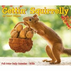 Best deal 😍 2023 Gettin' Squirrelly Box Calendar by Willow Creek Press 🎉 -Cheap Willow Creek Press Store D669847S 5
