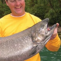 Discount ๐ 2023 Ken Schultz Daily Fishing Tips Box Calendar by Willow Creek Press ๐