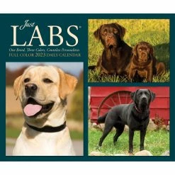 Buy 😍 2023 Labs Box Calendar by Willow Creek Press 😍 -Cheap Willow Creek Press Store D669857S 5