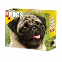 Hot Sale 💯 2023 Pugs Box Calendar by Willow Creek Press 🔔