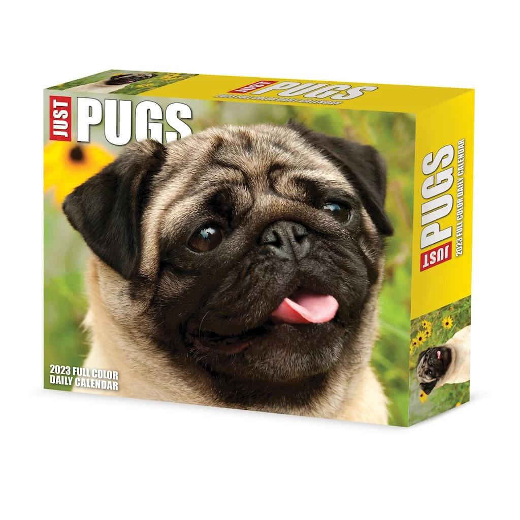 Hot Sale ๐ฏ 2023 Pugs Box Calendar by Willow Creek Press ๐ 1 Hot Sale ๐ฏ 2023 Pugs Box Calendar by Willow Creek Press ๐