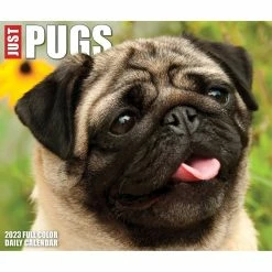 Hot Sale ๐ฏ 2023 Pugs Box Calendar by Willow Creek Press ๐ 11 Hot Sale ๐ฏ 2023 Pugs Box Calendar by Willow Creek Press ๐ -Cheap Willow Creek Press Store D669861S 5