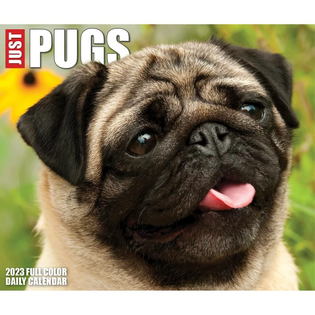 Hot Sale ๐ฏ 2023 Pugs Box Calendar by Willow Creek Press ๐ 5 Hot Sale ๐ฏ 2023 Pugs Box Calendar by Willow Creek Press ๐ - Image 5