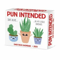 Top 10 ✔️ 2023 Pun Intended Box Calendar by Willow Creek Press 🧨
