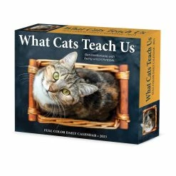 Best deal 🤩 2023 What Cats Teach Us Box Calendar by Willow Creek Press 🛒