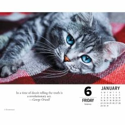 Best deal 🤩 2023 What Cats Teach Us Box Calendar by Willow Creek Press 🛒 -Cheap Willow Creek Press Store D669870S 3