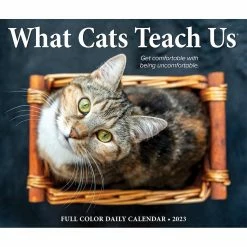 Best deal 🤩 2023 What Cats Teach Us Box Calendar by Willow Creek Press 🛒 -Cheap Willow Creek Press Store D669870S 5
