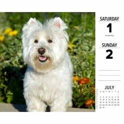 Deals 😉 2023 Westies Daily Box Calendar by Willow Creek Press 🎁 -Cheap Willow Creek Press Store D669872S 3
