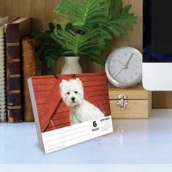 Deals 😉 2023 Westies Daily Box Calendar by Willow Creek Press 🎁 -Cheap Willow Creek Press Store D669872S 4
