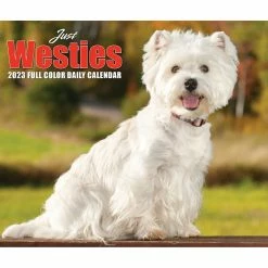 Deals 😉 2023 Westies Daily Box Calendar by Willow Creek Press 🎁 -Cheap Willow Creek Press Store D669872S 5