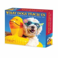 Cheap 🔥 2023 What 🐕 Dogs Teach Us Daily Box Calendar by Willow Creek Press 👏