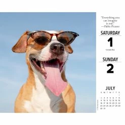 Cheap 🔥 2023 What 🐕 Dogs Teach Us Daily Box Calendar by Willow Creek Press 👏 -Cheap Willow Creek Press Store D669873S 3