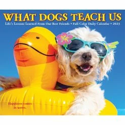 Cheap 🔥 2023 What 🐕 Dogs Teach Us Daily Box Calendar by Willow Creek Press 👏 -Cheap Willow Creek Press Store D669873S 5