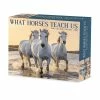 Deals 🔥 2023 What Horses Teach Us Daily Box Calendar by Willow Creek Press 🤩