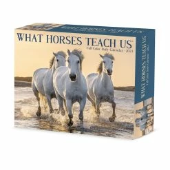 Deals ๐ฅ 2023 What Horses Teach Us Daily Box Calendar by Willow Creek Press ๐คฉ