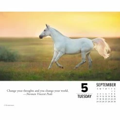 Deals 🔥 2023 What Horses Teach Us Daily Box Calendar by Willow Creek Press 🤩 -Cheap Willow Creek Press Store D669874S 3
