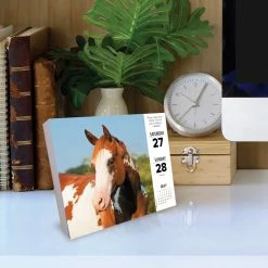 Deals 🔥 2023 What Horses Teach Us Daily Box Calendar by Willow Creek Press 🤩 -Cheap Willow Creek Press Store D669874S 4