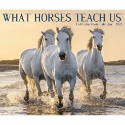 Deals 🔥 2023 What Horses Teach Us Daily Box Calendar by Willow Creek Press 🤩 -Cheap Willow Creek Press Store D669874S 5