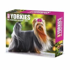 Coupon โญ 2023 Yorkies Daily Box Calendar by Willow Creek Press ๐