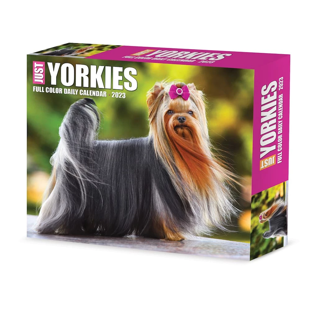 Coupon โญ 2023 Yorkies Daily Box Calendar by Willow Creek Press ๐ 1 Coupon โญ 2023 Yorkies Daily Box Calendar by Willow Creek Press ๐