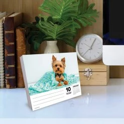 Coupon โญ 2023 Yorkies Daily Box Calendar by Willow Creek Press ๐ 10 Coupon โญ 2023 Yorkies Daily Box Calendar by Willow Creek Press ๐ -Cheap Willow Creek Press Store D669877S 4