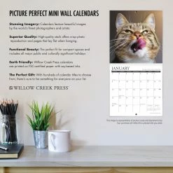 Outlet ❤️ 2023 Astronomy Mini Wall Calendar by Willow Creek Press 🥰 -Cheap Willow Creek Press Store D669879S 4