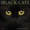 Buy 🔔 2023 Just Black Cats Mini Wall Calendar by Willow Creek Press 👏