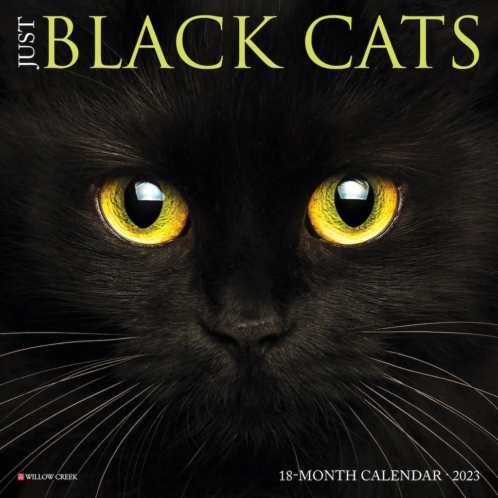 Buy 🔔 2023 Just Black Cats Mini Wall Calendar by Willow Creek Press 👏 1 Buy 🔔 2023 Just Black Cats Mini Wall Calendar by Willow Creek Press 👏