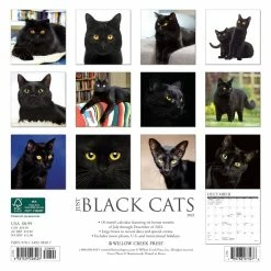 Buy 🔔 2023 Just Black Cats Mini Wall Calendar by Willow Creek Press 👏 5 Buy 🔔 2023 Just Black Cats Mini Wall Calendar by Willow Creek Press 👏 -Cheap Willow Creek Press Store D669880S 2