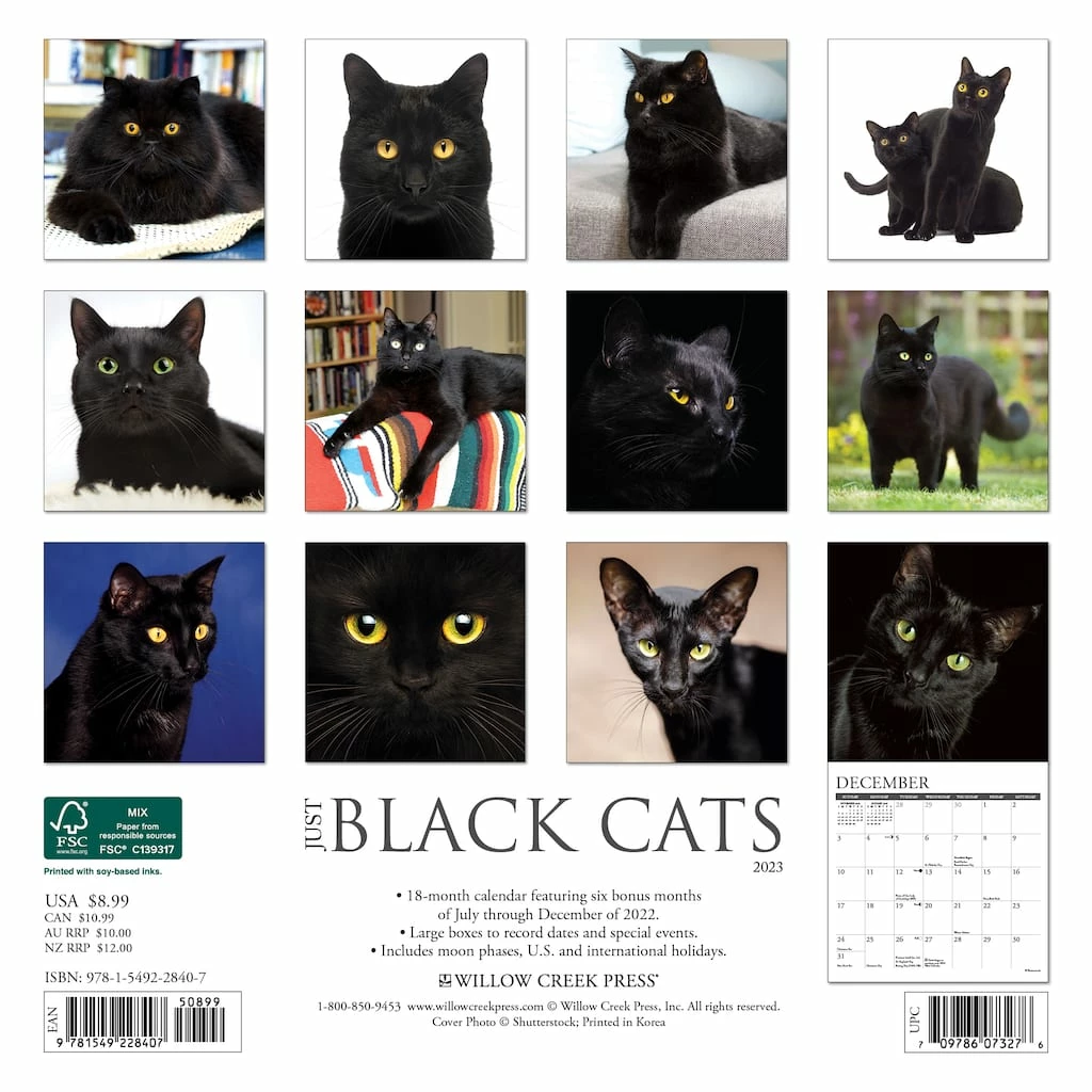Buy 🔔 2023 Just Black Cats Mini Wall Calendar by Willow Creek Press 👏 2 Buy 🔔 2023 Just Black Cats Mini Wall Calendar by Willow Creek Press 👏 - Image 2