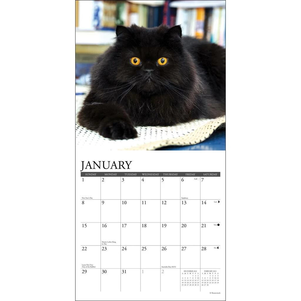 Buy 🔔 2023 Just Black Cats Mini Wall Calendar by Willow Creek Press 👏 3 Buy 🔔 2023 Just Black Cats Mini Wall Calendar by Willow Creek Press 👏 - Image 3