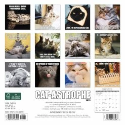 Budget ๐ฅฐ 2023 Cat-astrophe Mini Wall Calendar by Willow Creek Press ๐ 5 Budget ๐ฅฐ 2023 Cat-astrophe Mini Wall Calendar by Willow Creek Press ๐ -Cheap Willow Creek Press Store D669882S 2