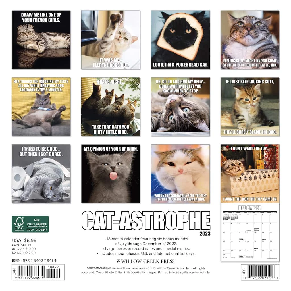 Budget ๐ฅฐ 2023 Cat-astrophe Mini Wall Calendar by Willow Creek Press ๐ 2 Budget ๐ฅฐ 2023 Cat-astrophe Mini Wall Calendar by Willow Creek Press ๐ - Image 2